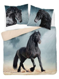 Francouzské povlečení Black Horse 220/200, 2x70/80
